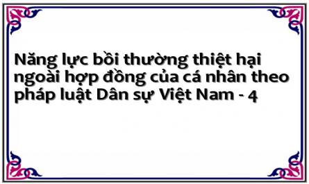 Năng Lực Bồi Thường Thiệt Hại Theo Pháp Luật Việt Nam Trước Năm1995