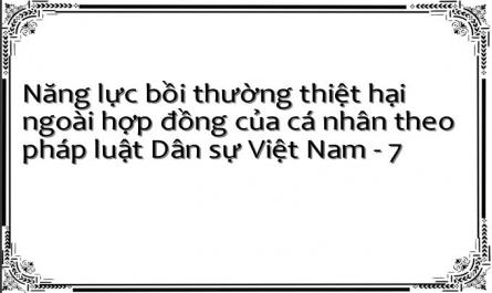 Năng lực bồi thường thiệt hại ngoài hợp đồng của cá nhân theo pháp luật Dân sự Việt Nam - 7