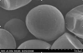 A b c d e f Hình 3 15 Ảnh kính hiển vi điện tử quét của tinh bột sắn 1