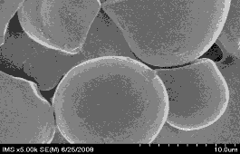 B c d e f Hình 3 15 Ảnh kính hiển vi điện tử quét của tinh bột sắn tự 2