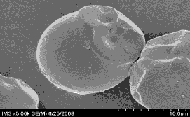 C d e f Hình 3 15 Ảnh kính hiển vi điện tử quét của tinh bột sắn tự 3