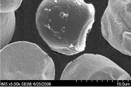 e f Hình 3 15 Ảnh kính hiển vi điện tử quét của tinh bột sắn tự nhiên a 5