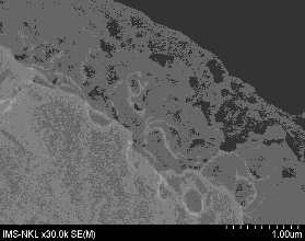Trình oxy hoá ch yếu diễn ra do bào mòn và tạo các mao quản bề mặt a b c 5