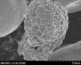 Trình oxy hoá ch yếu diễn ra do bào mòn và tạo các mao quản bề mặt a b c d 6