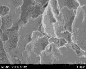 g h Hình 3 Ảnh SEM của tinh bột sắn a b và tinh bột oxy hoá với hàm 2