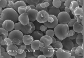 Tinh bột oxy hoá Tinh bột ghép AA trong hệ đồng thể GY 14 7 Tinh bột ghép AM 11