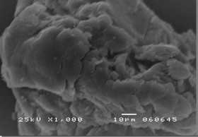 Tinh bột ghép AA trong hệ đồng thể GY 14 7 Tinh bột ghép AM trong hệ đồng 12