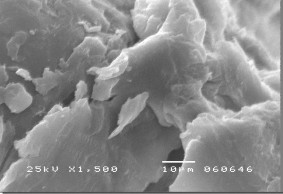 Tinh bột ghép AA trong hệ đồng thể GY 14 7 Tinh bột ghép AM trong hệ đồng 13