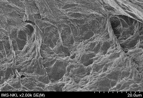 Tinh bột ghép AM trong hệ đồng thể GY 16 9 Hình 3 36 Ảnh SEM của tinh bột 15