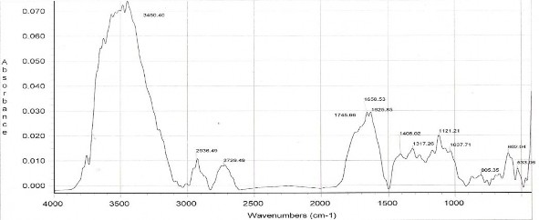 Hình 3 33 Phổ hồng ngoại của tinh bột ghép PAM Trên phổ hồng ngoại c a nhánh 2