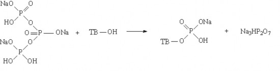 19 Phản ứng photphat hoá tinh bột là một trong những phản ứng este hoá quan 7