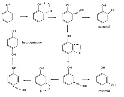 Hình 3 19 Sơ đồ mô tả con đường phản ứng oxy hóa radical C 6 H 5 O • bởi 13
