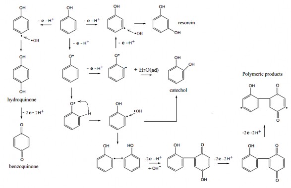 Hình 3 20 Sơ đồ mô tả quá trình oxy hóa phenol tạo thành radical C 6 H 5 O • 1