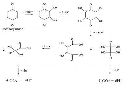 Hình 3 21 Sơ đồ mô tả quá trình phân hủy sản phẩm trung gian benzoquinone theo 2