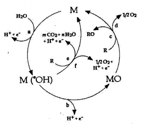 Hình 1 3 Cơ chế oxy hóa các hợp chất hữu cơ bằng phương pháp điện hóa trên 2