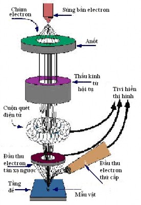 Hình 2 4 Sơ đồ khối kính hiển vi điện tử quét SEM 2 2 2 Các phương pháp 1