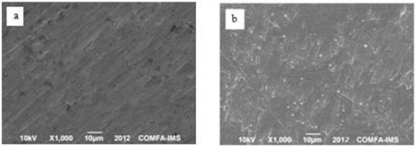Hình 3 4 Ảnh SEM bề mặt điện cực Titan a Sau khi tẩy dầu mỡ b Sau công 1