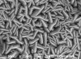 Hình 3 7 Ảnh SEM lớp phủ PbO 2 với thời gian điện kết tủa là 120 phút với 3