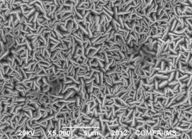 Hình 3 7 Ảnh SEM lớp phủ PbO 2 với thời gian điện kết tủa là 120 phút với 4