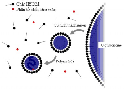 Hình 3 5 Cơ chế giả thiết phản ứng trùng hợp nhũ tương VAc với chất khơi 3
