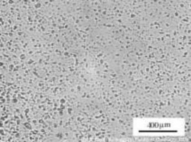 a b Hình 3 9 Bề mặt nhũ tương PVAc dưới hính hiển vi điện tử Quan sát bề 12