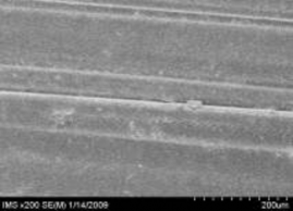 a b c d Hình 3 12 Ảnh SEM của màng MAP với 5 zeolit được phân tán bằng 1