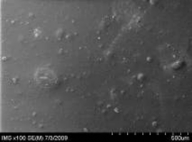 7a 7b Hình 3 14 Ảnh SEM của màng MAP với phụ gia bentonit hàm lượng 3 3a 3b 14