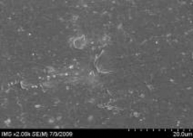 Hình 3 15 Ảnh SEM của màng MAP với phụ gia silica hàm lượng 5 được đùn thổi 17