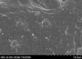 Hình 3 15 Ảnh SEM của màng MAP với phụ gia silica hàm lượng 5 được đùn thổi 18