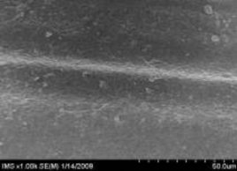 a b c d Hình 3 12 Ảnh SEM của màng MAP với 5 zeolit được phân tán bằng 2