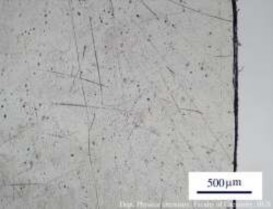 Hình 3 16 Ảnh chụp kính hiển vi quang học của màng LDPE không chứa phụ gia 20