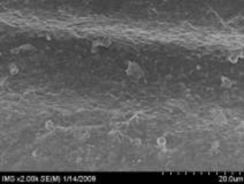 c d Hình 3 12 Ảnh SEM của màng MAP với 5 zeolit được phân tán bằng phương 3