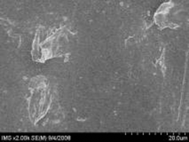 5a 5b 7a 7b Hình 3 13 Ảnh SEM của màng MAP với phụ gia zeolit hàm lượng 3 6