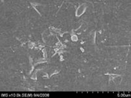 5a 5b 7a 7b Hình 3 13 Ảnh SEM của màng MAP với phụ gia zeolit hàm lượng 3 7