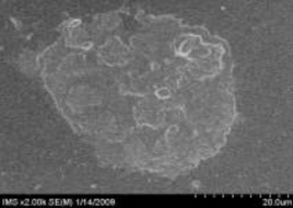 7a 7b Hình 3 13 Ảnh SEM của màng MAP với phụ gia zeolit hàm lượng 3 3a 3b 5 9