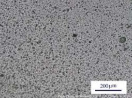 Hình 3 19 Ảnh chụp kính hiển vi quang học của màng MAP với phụ gia silica hàm 14