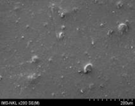 5a 5b 7a 7b Hình 3 20 Ảnh SEM của màng MAP với phụ gia zeolit hàm lượng 5 15