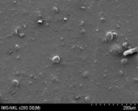 7a 7b Hình 3 20 Ảnh SEM của màng MAP với phụ gia zeolit hàm lượng 5 5a 5b và 17