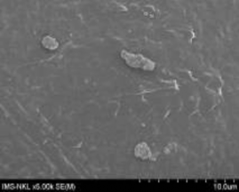 7a 7b Hình 3 20 Ảnh SEM của màng MAP với phụ gia zeolit hàm lượng 5 5a 5b và 18