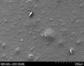 5a 5b 7a 7b Hình 3 21 Ảnh SEM của màng MAP với phụ gia bentonit hàm lượng 5 19