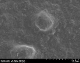 5a 5b 7a 7b Hình 3 21 Ảnh SEM của màng MAP với phụ gia bentonit hàm lượng 5 20