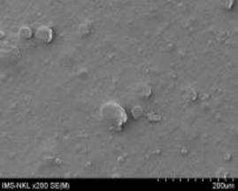 7a 7b Hình 3 21 Ảnh SEM của màng MAP với phụ gia bentonit hàm lượng 5 5a 5b 21