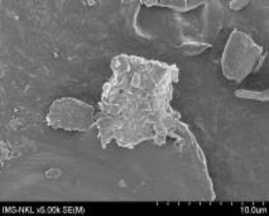 7a 7b Hình 3 21 Ảnh SEM của màng MAP với phụ gia bentonit hàm lượng 5 5a 5b 22