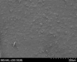 5a 5b 7a 7b Hình 3 22 Ảnh SEM của màng MAP với phụ gia silica hàm lượng 5 23