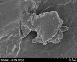 5a 5b 7a 7b Hình 3 22 Ảnh SEM của màng MAP với phụ gia silica hàm lượng 5 24