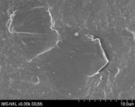 7a 7b Hình 3 22 Ảnh SEM của màng MAP với phụ gia silica hàm lượng 5 5a 5b và 26