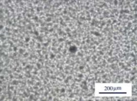 7a 7b Hình 3 25 Ảnh chụp kính hiển vi quang học của màng MAP với phụ gia 38