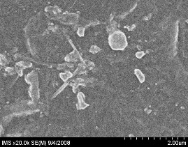 Hình 3 26 Ảnh SEM của màng CE44 Ảnh chụp kính hiển vi quang học của màng CE44 40