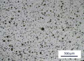 Hình 3 27 Ảnh chụp kính hiển vi quang học của màng CE44 Ảnh kính hiển vi quang 41