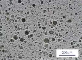 Hình 3 27 Ảnh chụp kính hiển vi quang học của màng CE44 Ảnh kính hiển vi quang 42